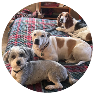 Oliver, Gladstone and Max